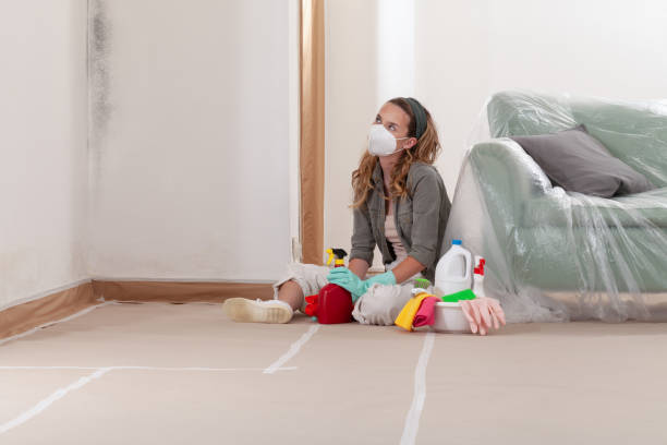 Reliable Crawl Space Mold Remediation contractor in Winter Garden, FL by 24 Hour Mold Removal